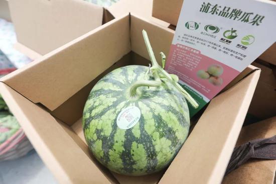 网红哥吃瓜,揭秘娱乐圈幕后真相