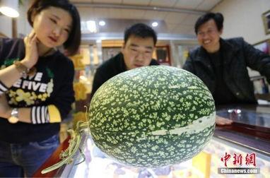 黑瓜吃料网张津瑜视频,一场视觉盛宴背后的故事