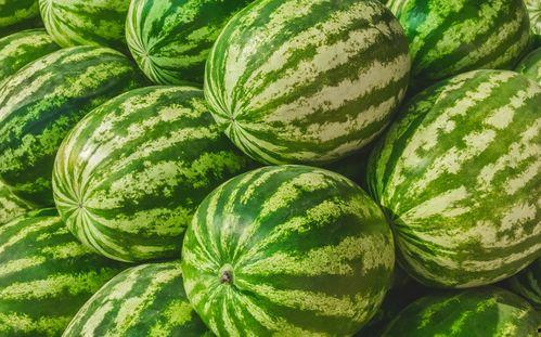 哈尔滨吃瓜爆料找谁,揭秘幕后真相，热点事件深度解析