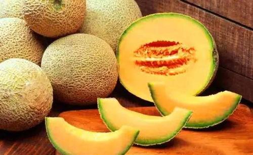 新疆网红求瓜吃,瓜香四溢引网友热议