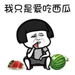 你们喜欢吃娱乐圈的瓜吗